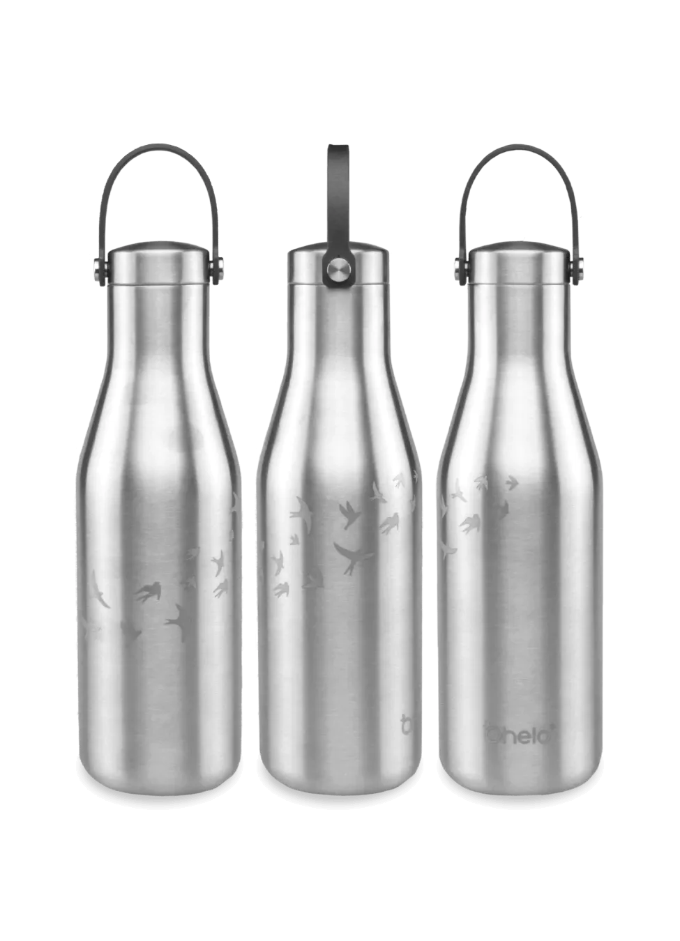 The Steel Swallows Bottle
